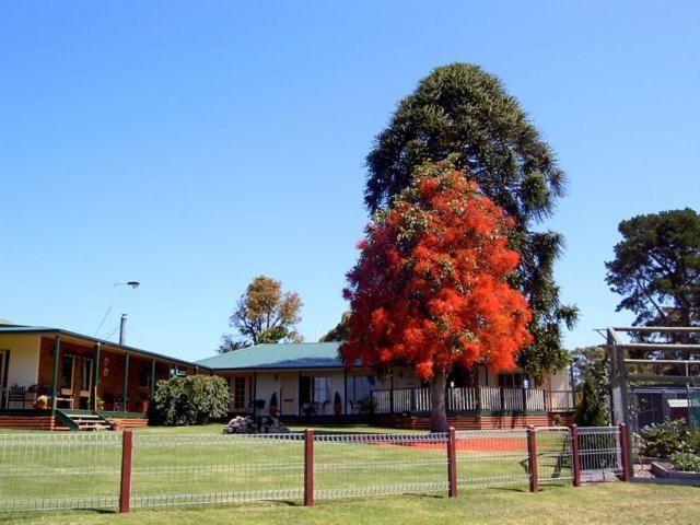 Snowy River Homestead Newmerella Bagian luar foto