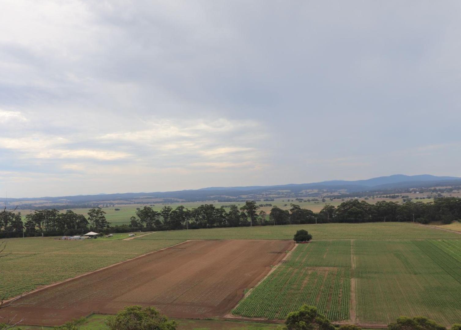 Snowy River Homestead Newmerella Bagian luar foto